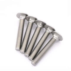 Stainless Steel Carriage Bolts