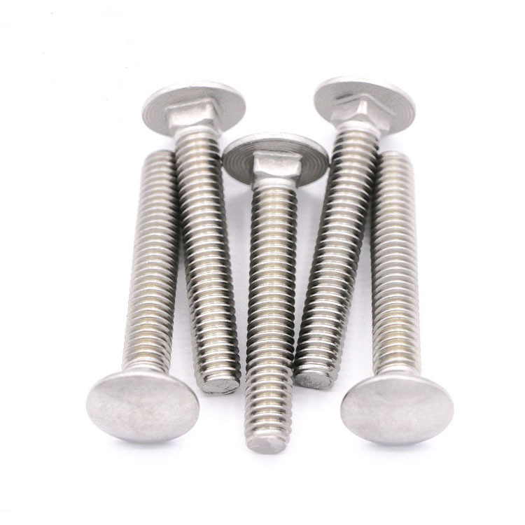 Stainless Steel Carriage Bolts