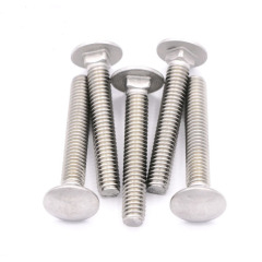 Stainless Steel Carriage Bolts