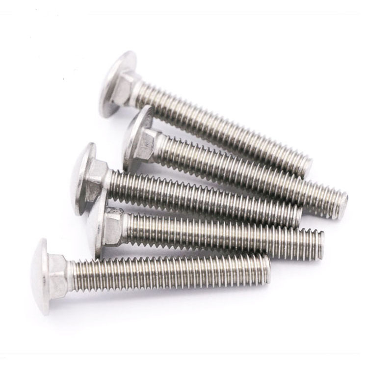 Stainless Steel Carriage Bolts