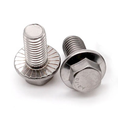 Stainless Steel Hex Head Flange Bolts