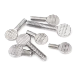 Stainless Steel Thumb Bolts