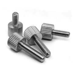 Stainless Steel Thumb Bolts
