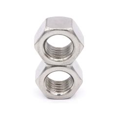 Stainless Steel Hex Nuts