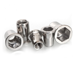 Stainless Steel Rivets Nuts