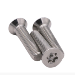 Stainless Steel Torx Countersunk Head Anti-theft Screws