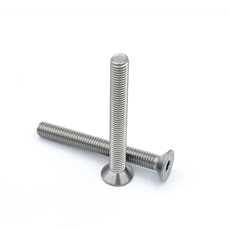 Stainless Steel Hex Socket Countersunk Head Screws