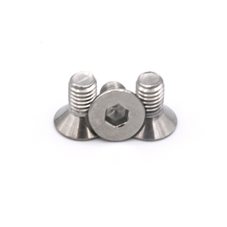 Stainless Steel Hex Socket Countersunk Head Screws
