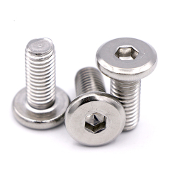 Stainless Steel Hex Socket Low head Screws