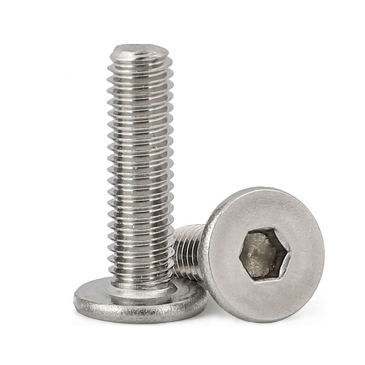 Stainless Steel Hex Socket Low Head Screws