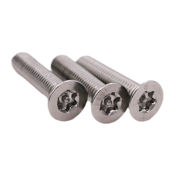 Stainless Steel Torx Countersunk Head Anti-theft Screws