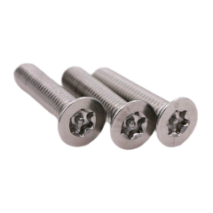 Stainless Steel Torx Countersunk Head Anti-theft Screws