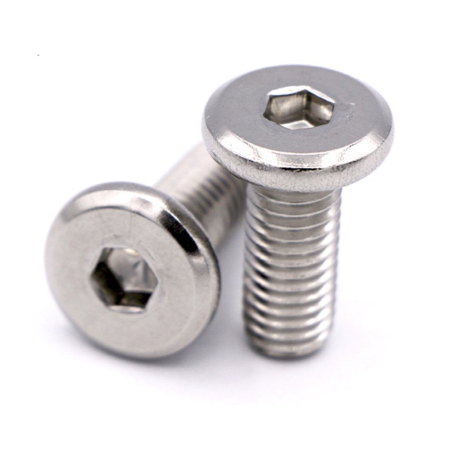 Stainless Steel Hex Socket Low head Screws
