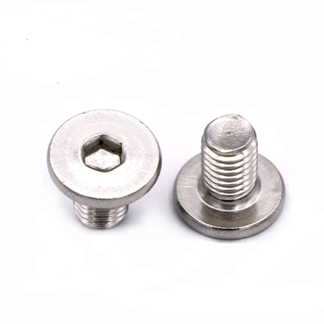 Stainless Steel Hex Socket Low Head Screws