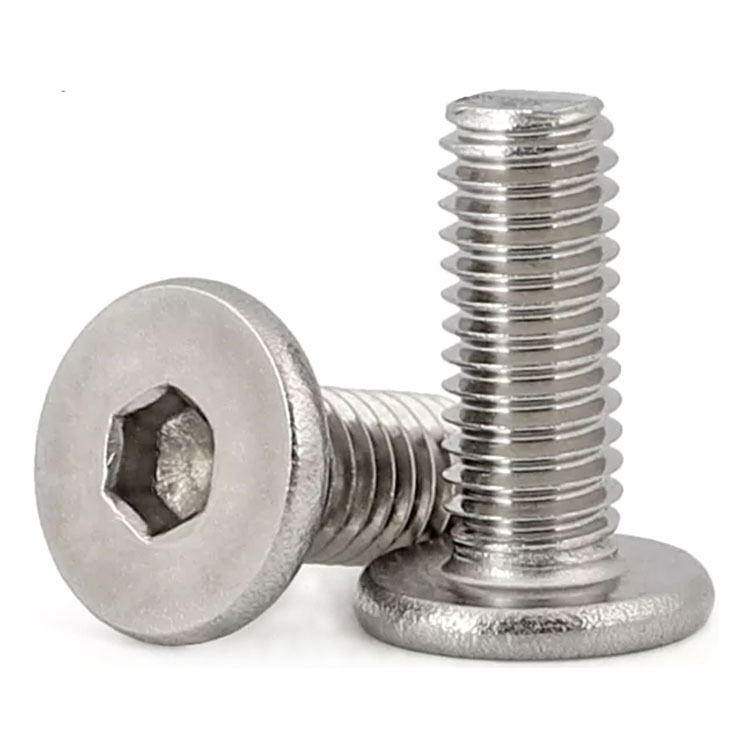 Stainless Steel Hex Socket Low Head Screws