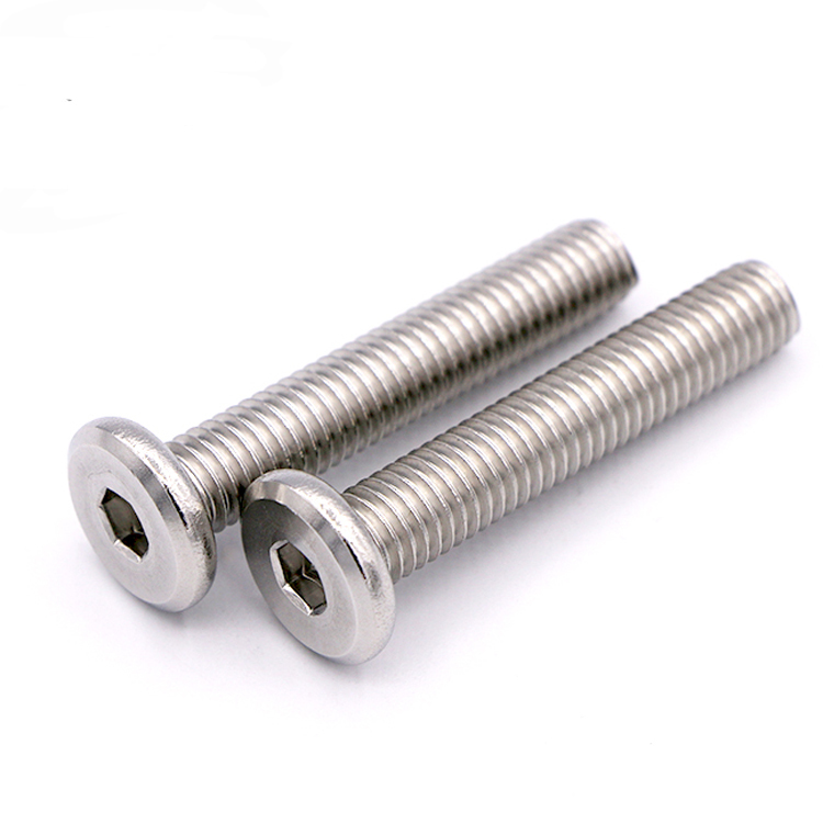 Stainless Steel Hex Socket Low head Screws