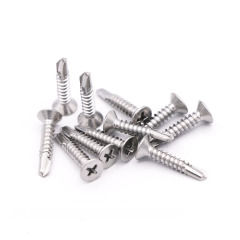 Stainless Steel 304/316/410/Steel/Gavalnized/Zinc Plated/C1022 Self Drilling Screws