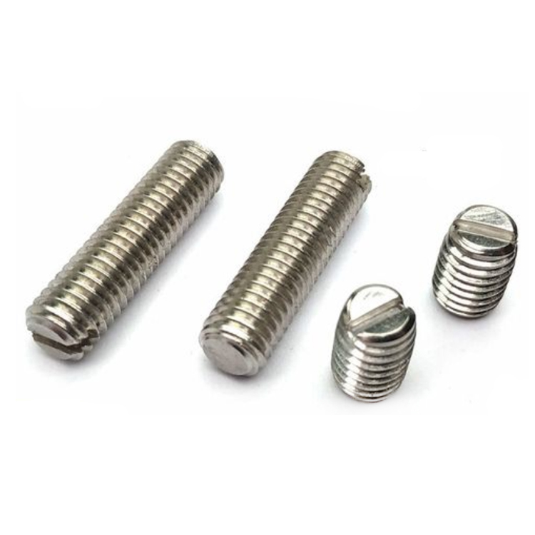 Stainless Steel Slotted Flat-End/Cup Point/ Cone Point Set Screws