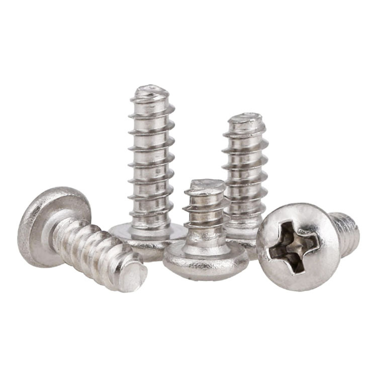 Customized Flat End Self Tapping Screws