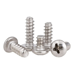 Customized Flat End Self Tapping Screws