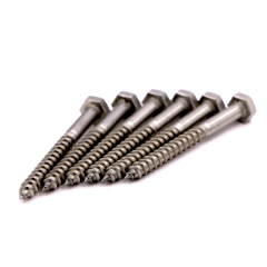 ANSI B18.2.1 Full-Thread/ Half-Thread Stainless Steel Hexagon Head Wood Screws