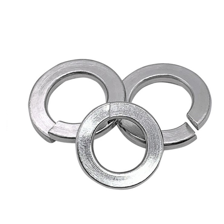 Stainless Steel 304/316 DIN127B Widen Spring Washers