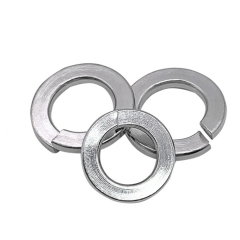 Stainless Steel 304/316 DIN127B Widen Spring Washers