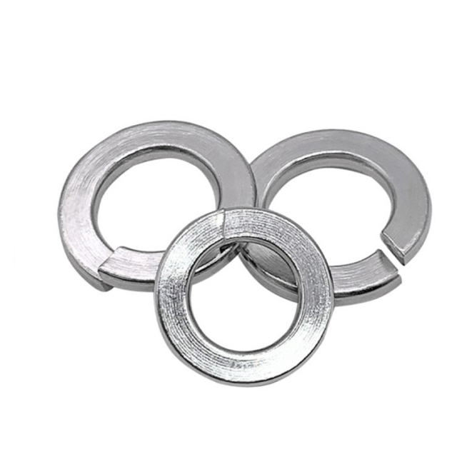 Stainless Steel 304/316 DIN127B Widen Spring Washers