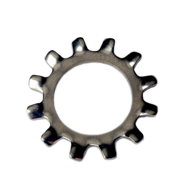 DIN 6797 (A) Stainless Steel 304 External Toothed Washer
