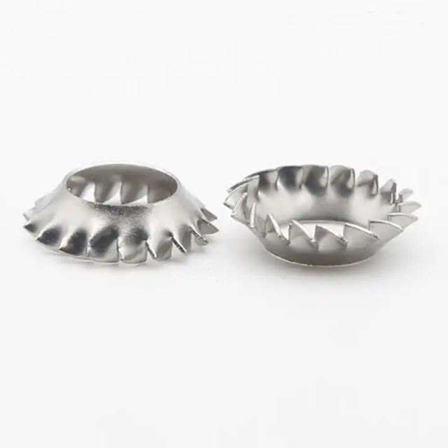 DIN6798V Stainless Steel Countersunk Serrated Lock Washer External Teeth Washers for Flat Head Screw