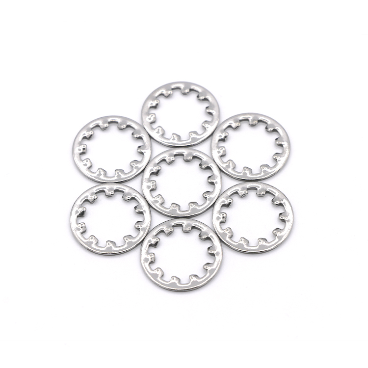 Stainless Steel 304 Star Lock Washers