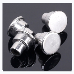Customized Stainless Steel Semi-hollow Rivets