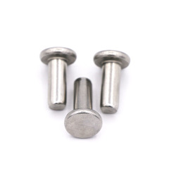 Stainless Steel Flat Head Solid Rivets