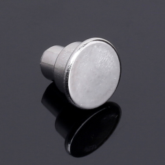 Customized Stainless Steel Semi-hollow Rivets