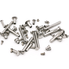 Customized Male and Female Flat Pan Head Metal Rivets