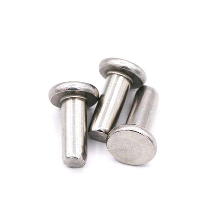 Stainless Steel Flat Thin Head Solid Rivets