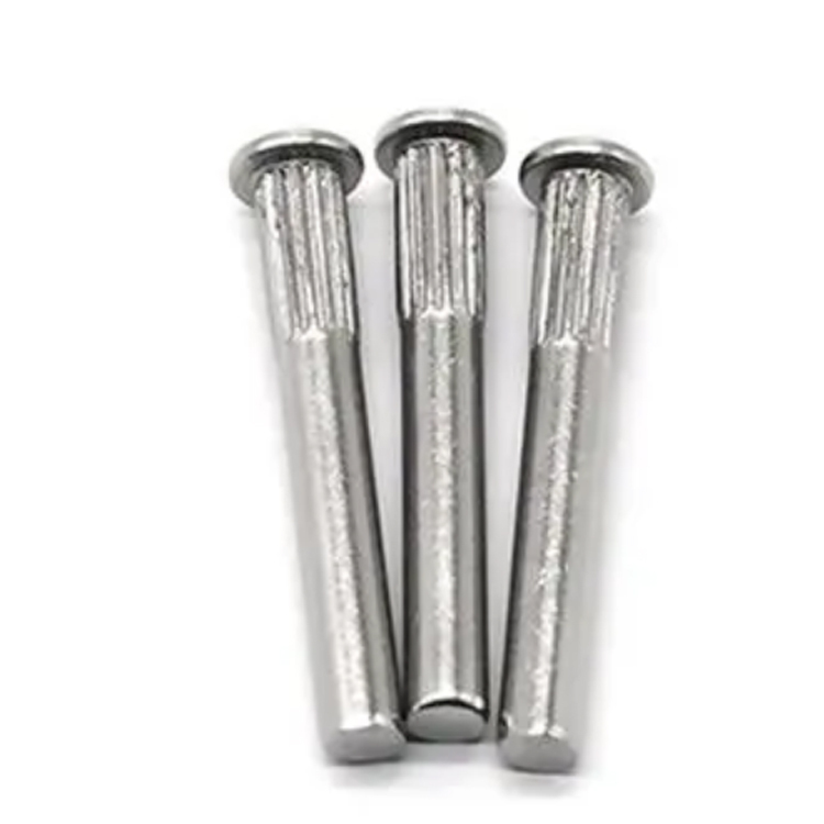 Customized Stainless Steel Round Head Knurling Rivets