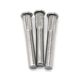 Customized Stainless Steel Round Head Knurling Rivets