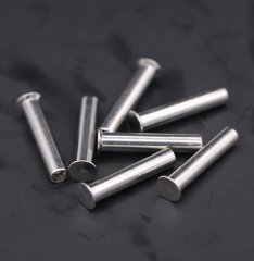 Stainless Steel Countersunk Head Semi-tubular Rivets
