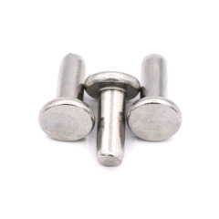 Stainless Steel Flat Head Solid Rivets