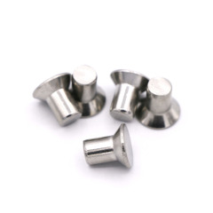 Stainless Steel Countersunk Head Solid Rivets