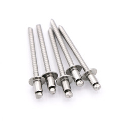 SS304+42A Open Type Domed Head Stainless Steel Blind Pop Rivets
