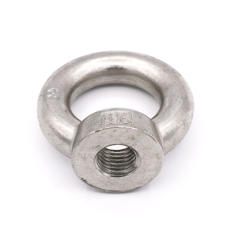 DIN582 Stainless Steel 304 316 Eye Hole Nut