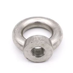 DIN582 Stainless Steel 304 316 Eye Hole Nut