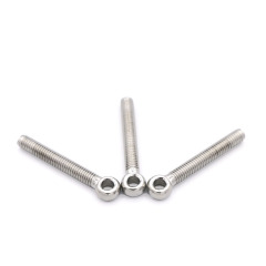 Eye Bolt for Machinery and Architecture