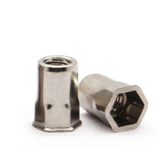 Flat Reduced Head Half Hex Blind Riveting Nuts