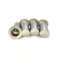Flat Head Knurled Blind Riveting Nuts