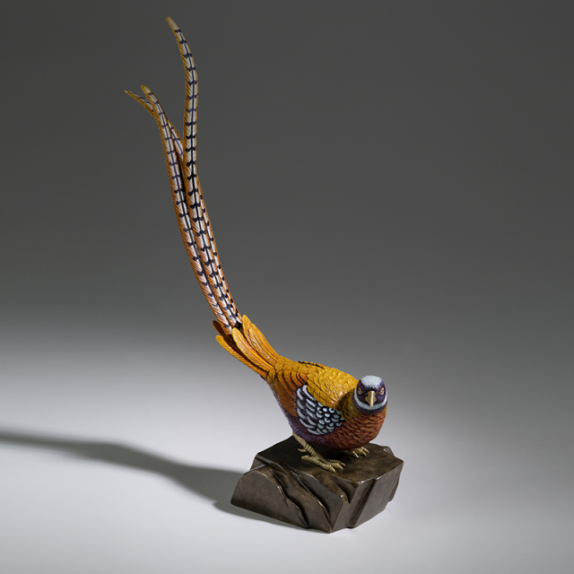 White-crowned pheasant in Master Copper's Collection of 100 Birds
