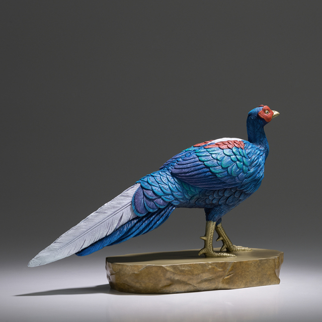 Blue Pheasant in Master Copper's Collection of 100 Birds