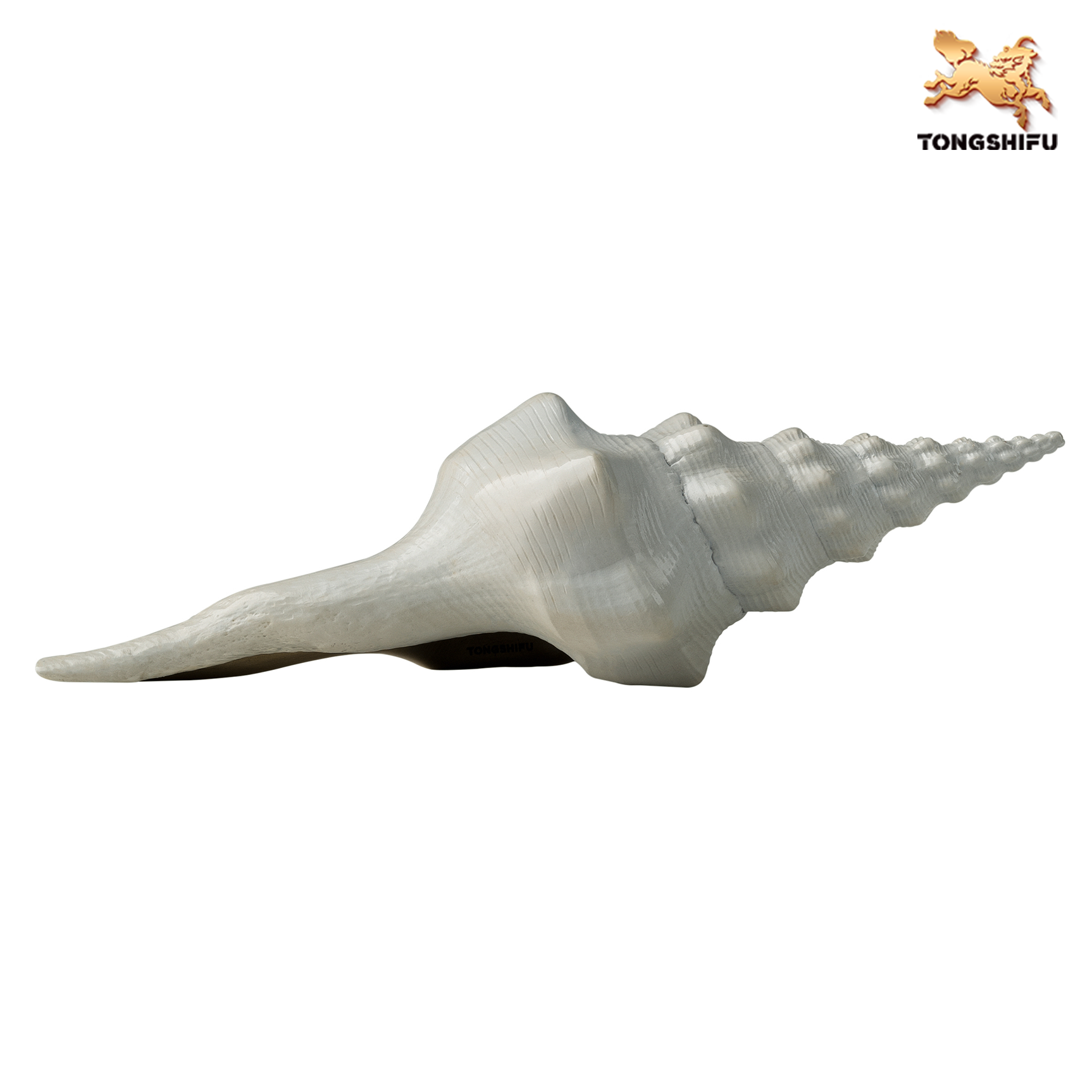CONCH A